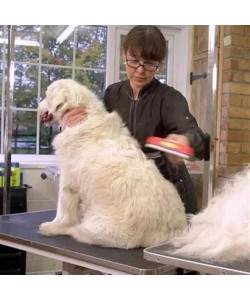 BUFFER® 23 KG Üzeri Uzun Tüylü Köpekler İçin Tüy Toplayıcı Ergonomik Tarak