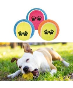 BUFFER®  3lü Renkli Desenli Tenis Topu Kedi Köpek Oyuncağı