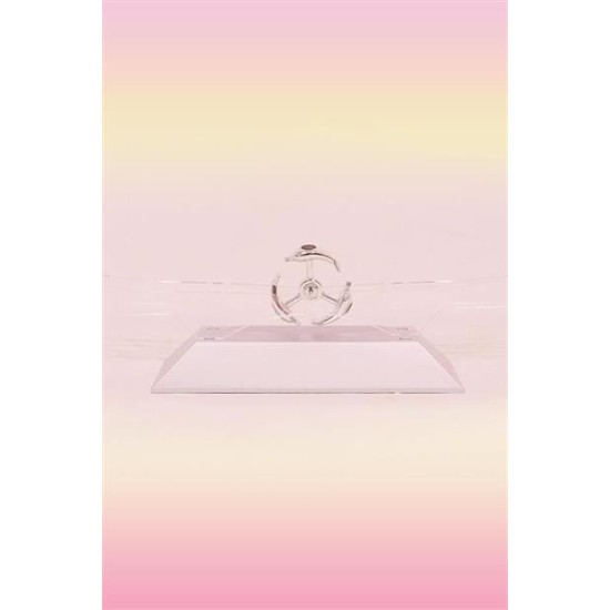 BUFFER® Dekoratif Masa Üstü Obje Manyetik Kinetik Orbital Dönen Yunuslar