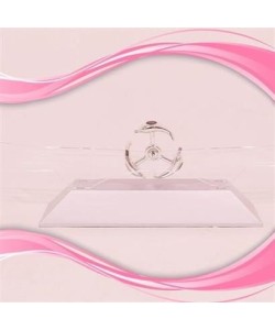 BUFFER® Dekoratif Masa Üstü Obje Manyetik Kinetik Orbital Dönen Yunuslar