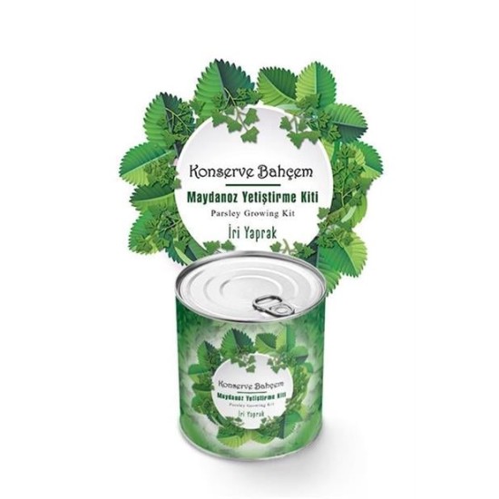 BUFFER® Konserve Bahçem Evde Konservede İri Maydanoz Yetiştirme Kiti