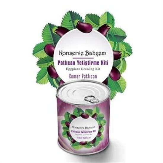 BUFFER® Konserve Bahçem Evde Konservede  Kemer PatlıcanYetiştirme Kiti