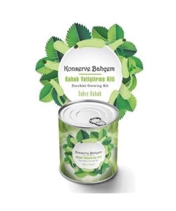 BUFFER® Konserve Bahçem Evde Konservede Sakız Kabak Yetiştirme Kiti
