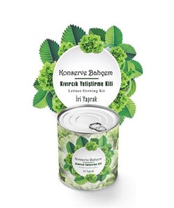 BUFFER® Konserve Bahçem Evde Konservede İri Yapraklı Kıvırcık Yetiştirme Kiti