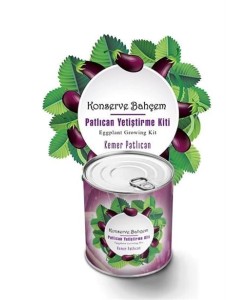 BUFFER® Konserve Bahçem Evde Konservede  Kemer PatlıcanYetiştirme Kiti