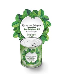 BUFFER® Konserve Bahçem Nane Yetiştirme Kiti