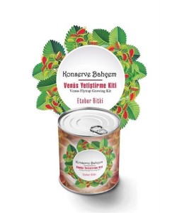 BUFFER® Konserve Bahçem Venüs Et Obur Bitki Yetiştirme Kiti