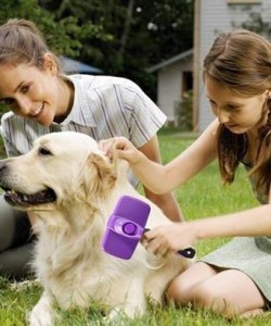 BUFFER®  Otomatik Temizlenebilen Tuşlu Pratik Kedi Köpek Tüy Toplama Fırçası