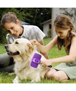 BUFFER®  Otomatik Temizlenebilen Tuşlu Pratik Kedi Köpek Tüy Toplama Fırçası