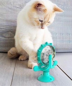 Buffer® Vantuzlu Zilli İnteraktif Dönebilen Mama Kaplı Renkli Eğlenceli Eğitici Kedi Oyuncağı