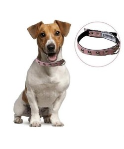 BUFFER® Yumuşak Dokulu Deri Köpek Gezdirme Boyun Tasması Medium